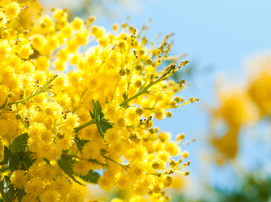 AdobeStock 118708116